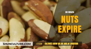 Do Brazil Nuts Expire? Shelf Life and Storage Tips Revealed