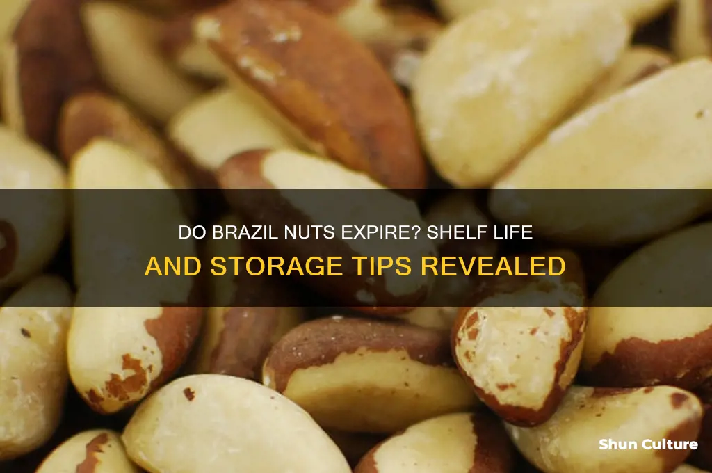 do brazil nuts expire