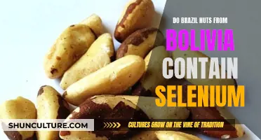 Brazil Nuts: Selenium Content and Bolivian Origins