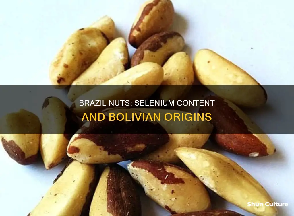 do brazil nuts from bolivia contain selenium