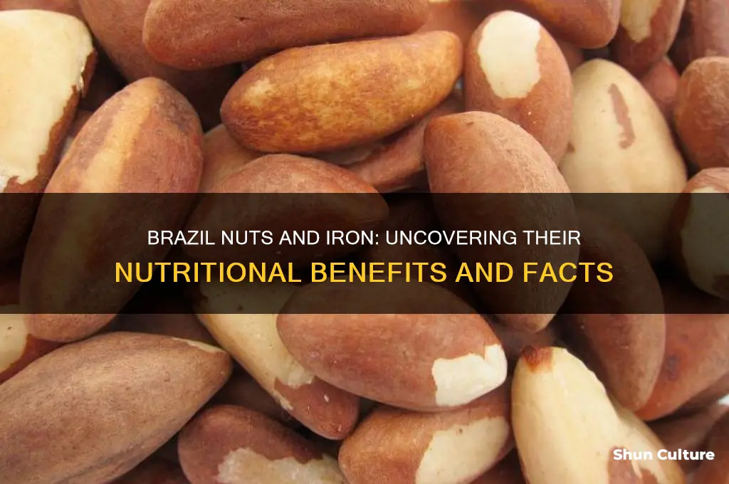 do brazil nuts gave iron