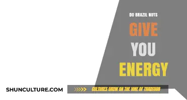 Boost Your Energy Levels: The Power of Brazil Nuts Explained