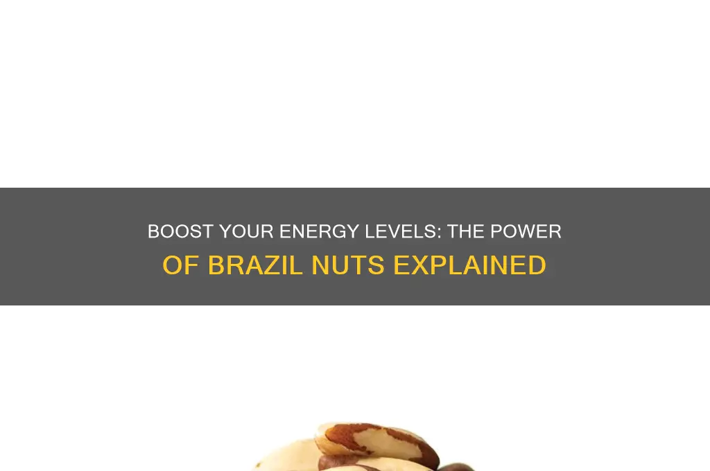do brazil nuts give you energy