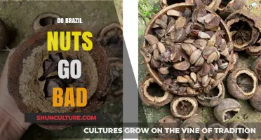 Do Brazil Nuts Go Bad? Shelf Life and Storage Tips