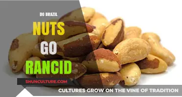 Do Brazil Nuts Go Rancid? Shelf Life and Storage Tips