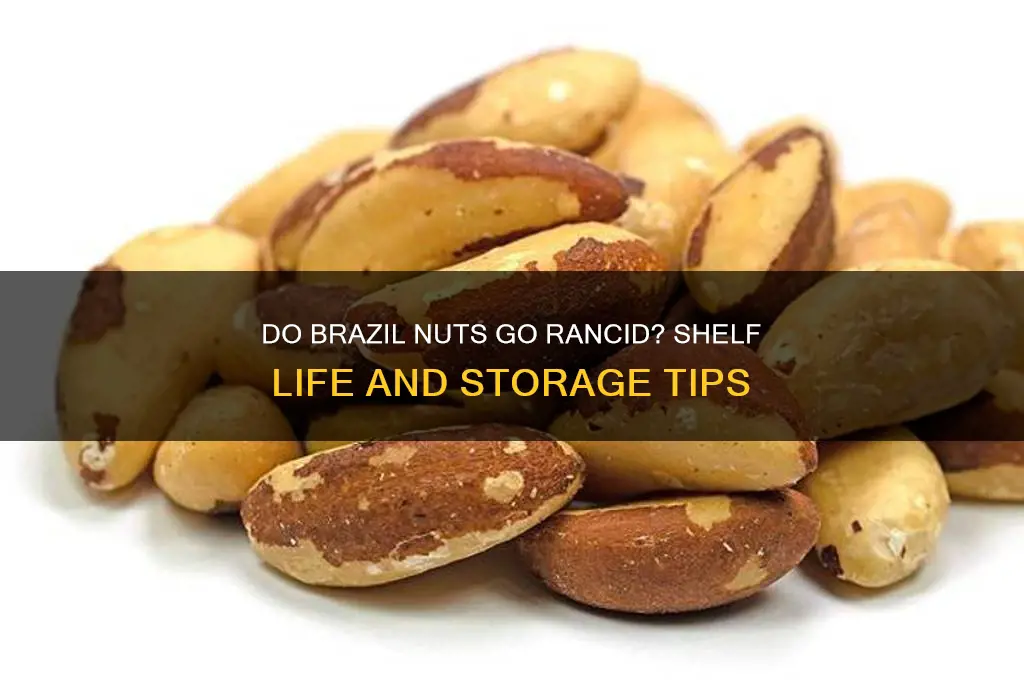 do brazil nuts go rancid