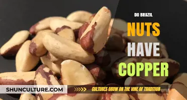 Brazil Nuts and Copper: Unveiling Their Nutritional Connection
