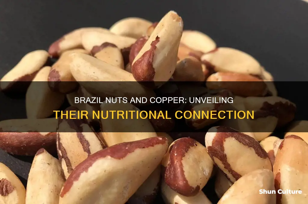 do brazil nuts have copper
