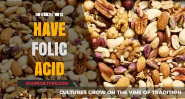 Brazil Nuts and Folic Acid: Uncovering Nutritional Benefits and Facts