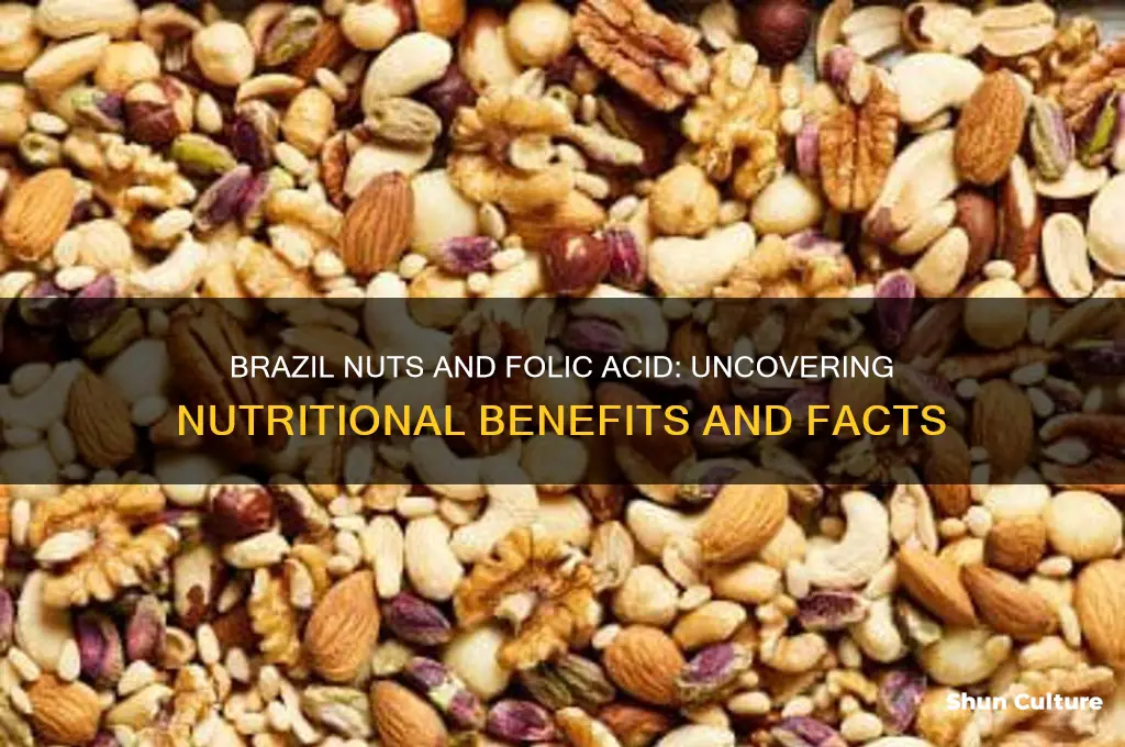 do brazil nuts have folic acid