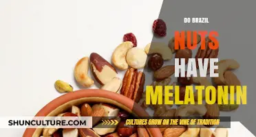 Brazil Nuts and Melatonin: Unlocking Sleep Benefits in Every Bite
