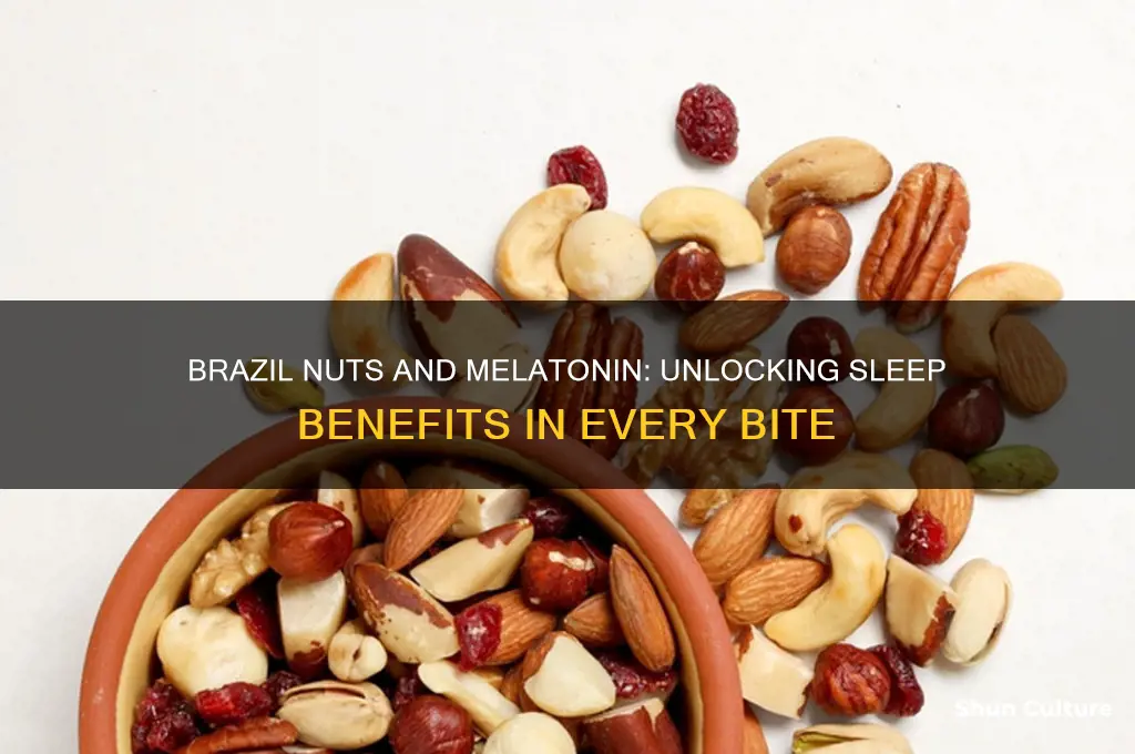 do brazil nuts have melatonin