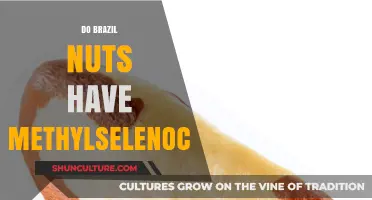 Brazil Nuts and Methylselenocysteine: Unveiling the Selenium Connection
