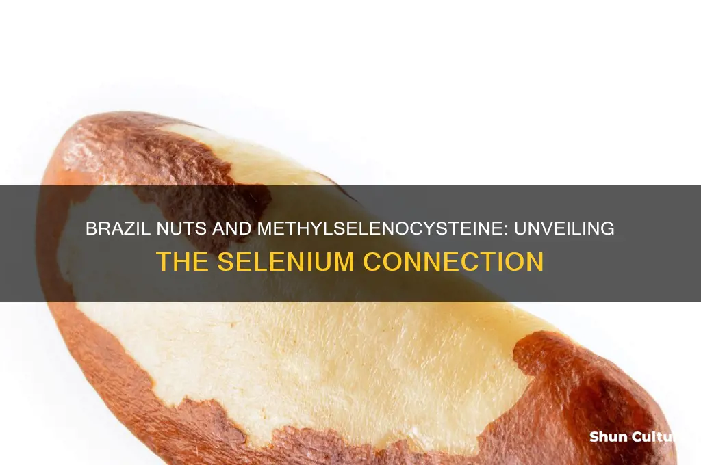 do brazil nuts have methylselenocysteine