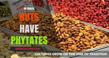 Brazil Nuts and Phytates: Uncovering the Truth About Anti-Nutrients