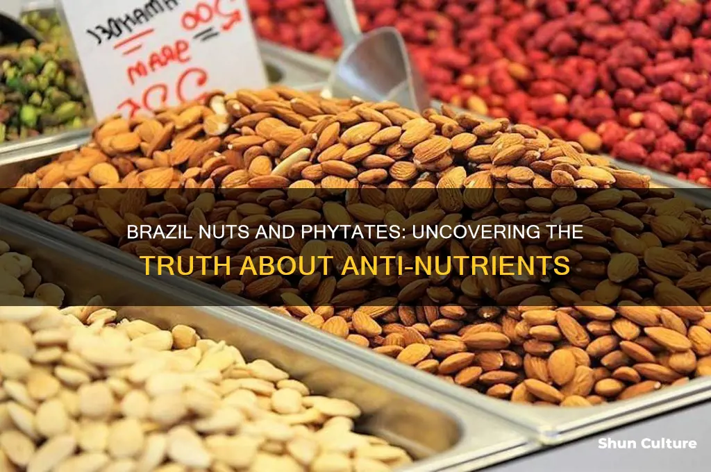 do brazil nuts have phytates