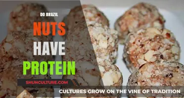 Brazil Nuts Protein Power: Unlocking Nutritional Benefits and Facts