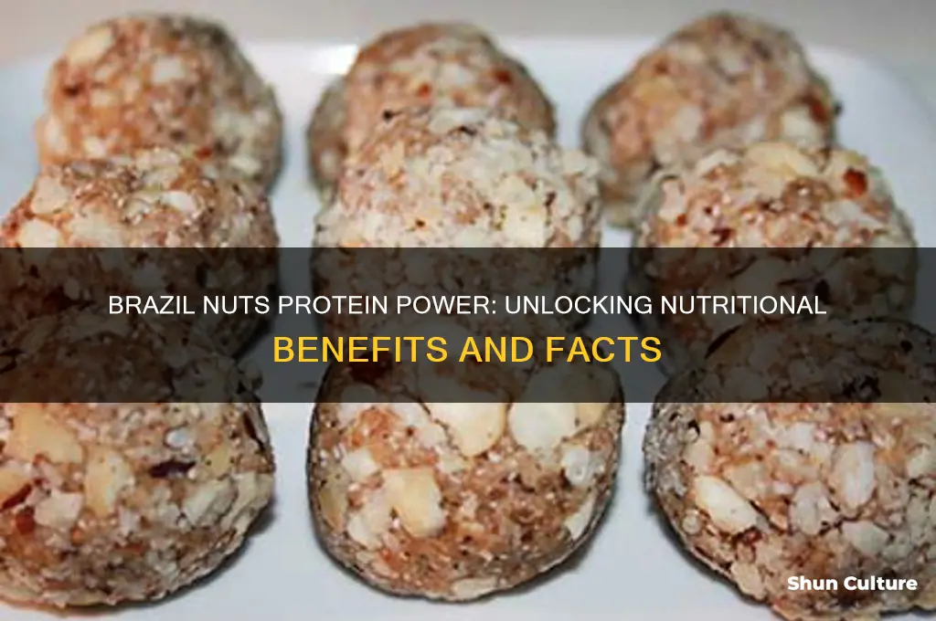 do brazil nuts have protein
