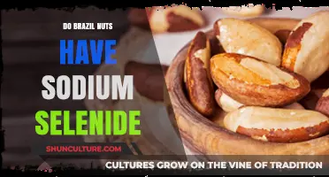 Brazil Nuts and Sodium Selenide: Unraveling the Nutritional Truth