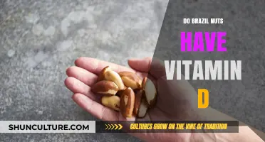 Brazil Nuts and Vitamin D: Uncovering the Nutritional Truth