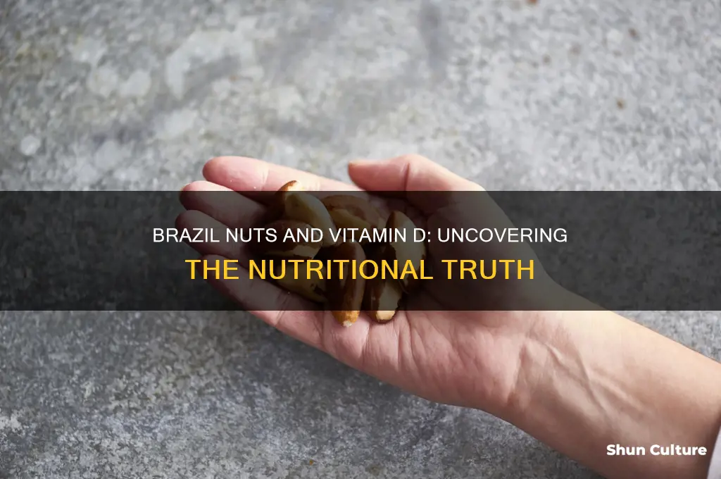 do brazil nuts have vitamin d