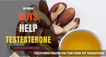 Brazil Nuts and Testosterone: Unlocking Hormonal Benefits Naturally