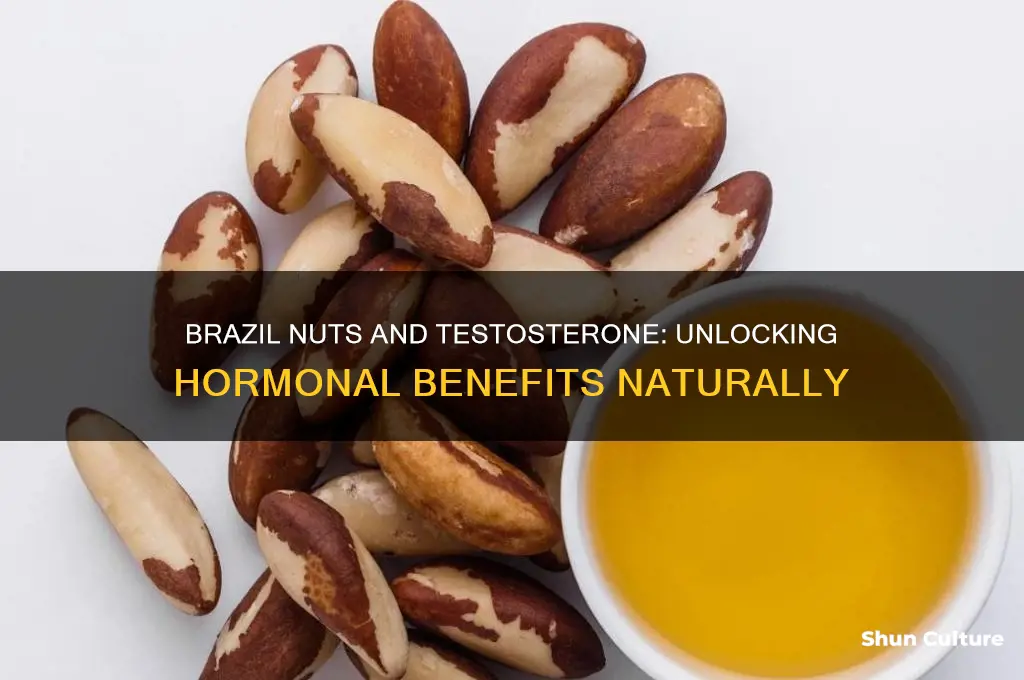do brazil nuts help testesterone