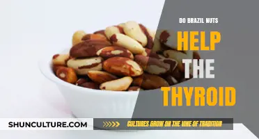 Brazil Nuts and Thyroid Health: Unlocking Selenium's Benefits