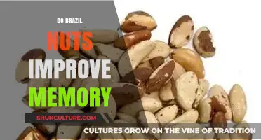 Boost Your Memory Naturally: The Surprising Benefits of Brazil Nuts