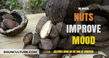 Boost Your Mood Naturally: The Surprising Benefits of Brazil Nuts
