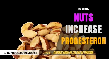 Brazil Nuts and Progesterone: Unveiling the Hormonal Connection