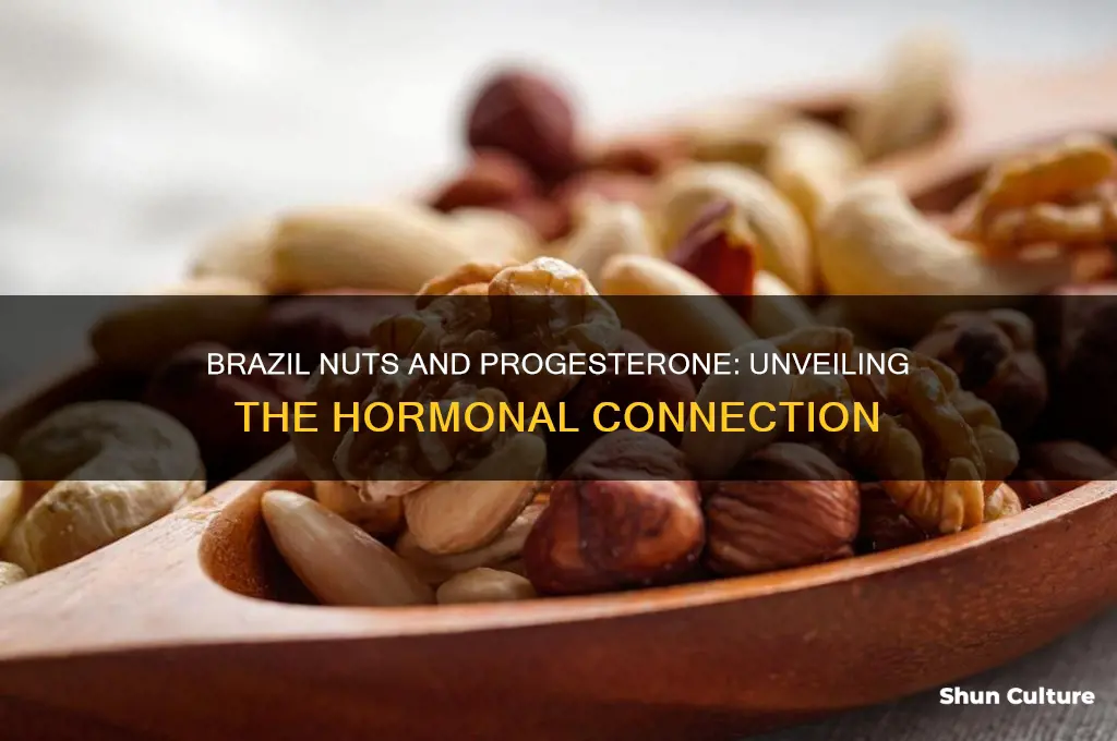 do brazil nuts increase progesterone