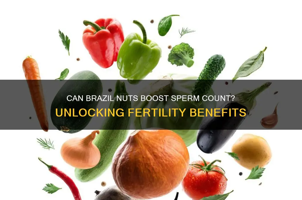 do brazil nuts increase sperm count