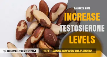 Brazil Nuts and Testosterone: Fact or Fiction? Uncover the Truth