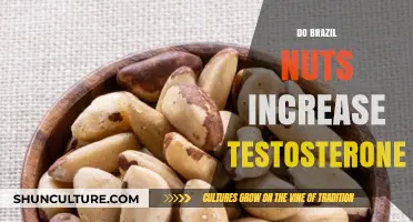 Brazil Nuts and Testosterone: Unlocking the Hormonal Benefits
