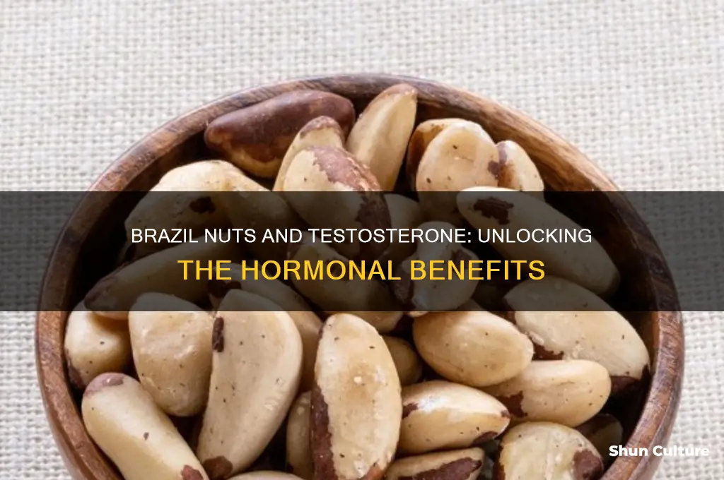 do brazil nuts increase testosterone