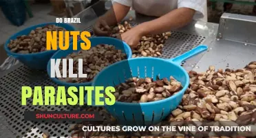 Can Brazil Nuts Eliminate Parasites? Unveiling the Truth Behind the Claim