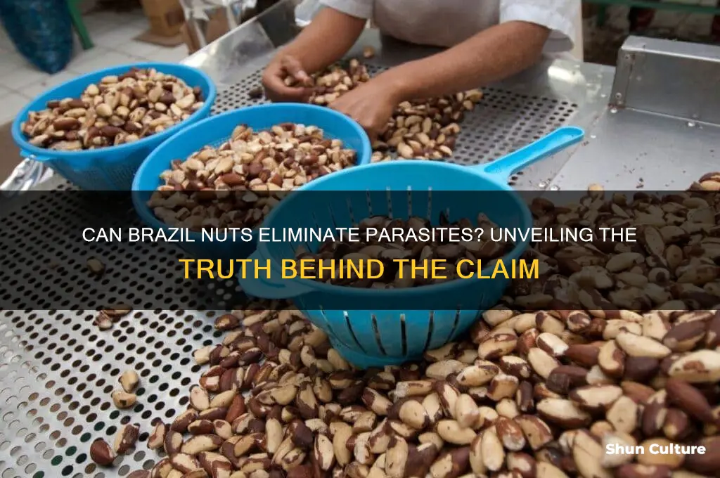 do brazil nuts kill parasites