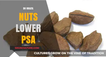Brazil Nuts and PSA Levels: Unlocking Prostate Health Benefits
