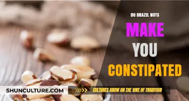 Brazil Nuts and Constipation: Debunking Myths and Understanding Digestive Effects