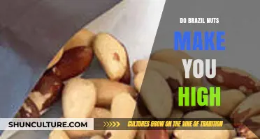 Can Brazil Nuts Induce a High? Separating Fact from Fiction