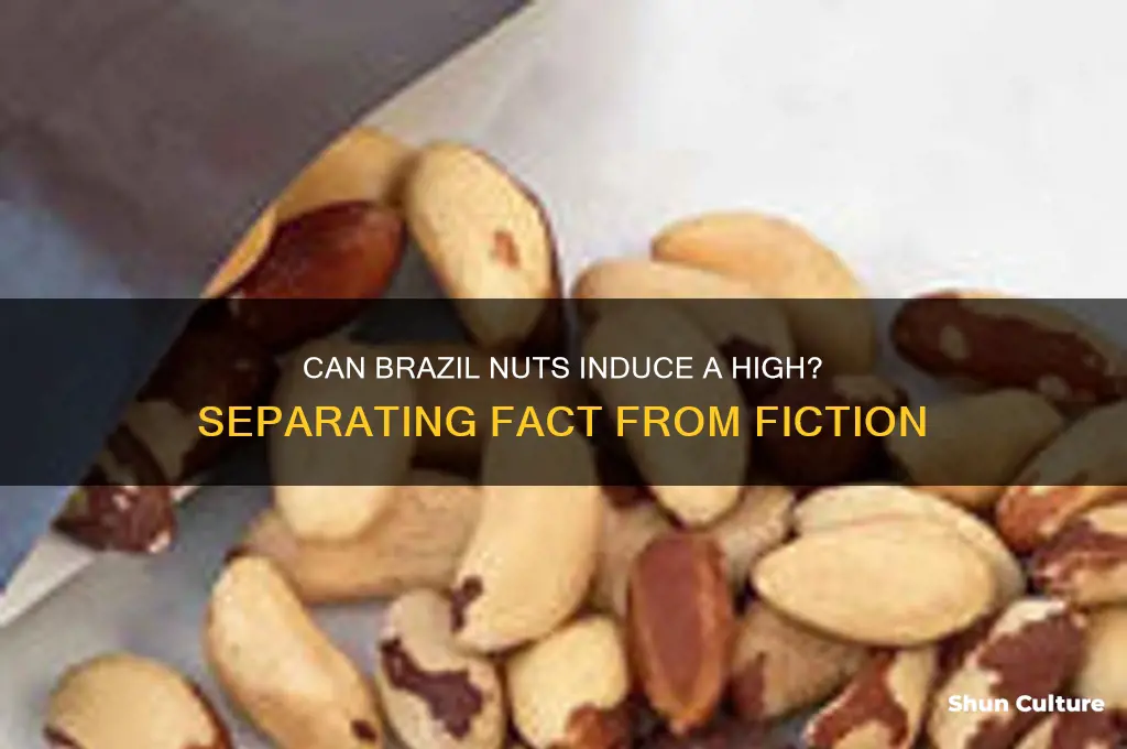 do brazil nuts make you high