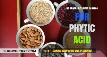 Should You Soak Brazil Nuts to Reduce Phytic Acid?