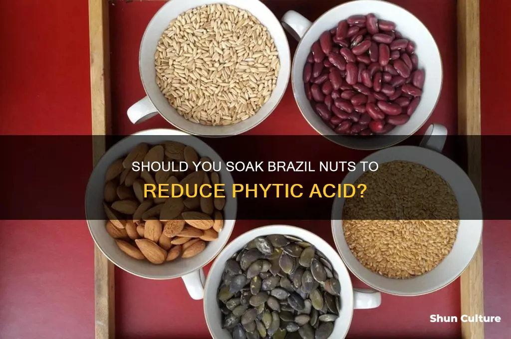 do brazil nuts need soaking for phytic acid