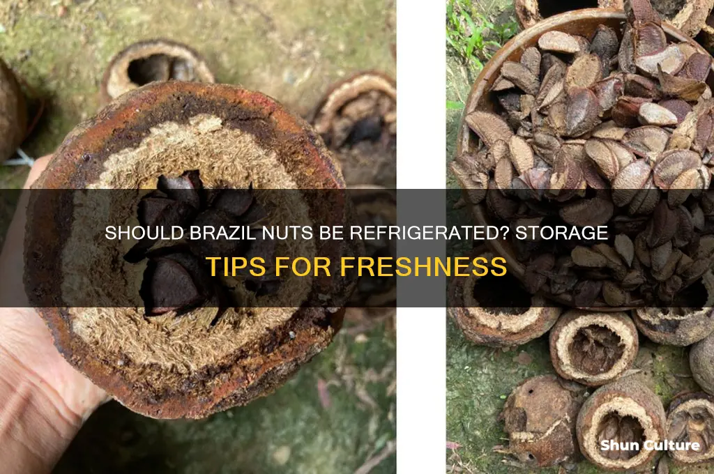 do brazil nuts need tefrigeratoin