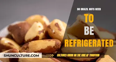 Should You Refrigerate Brazil Nuts? Storage Tips for Freshness