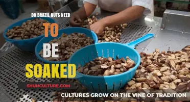 Should You Soak Brazil Nuts? Benefits and Proper Preparation Tips