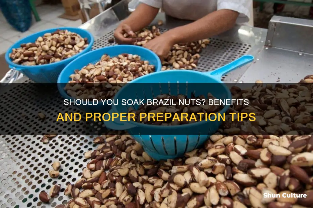 do brazil nuts need to be soaked