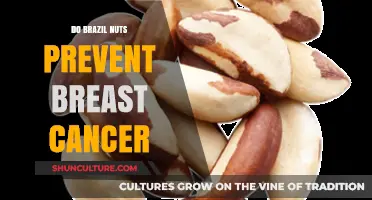 Brazil Nuts and Breast Cancer: Uncovering the Potential Preventive Benefits