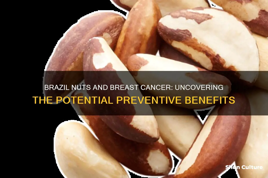 do brazil nuts prevent breast cancer